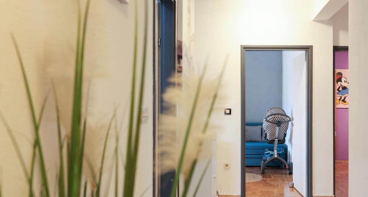 Apartman Nika Sa Jacuzzijem 자다르 외부 사진